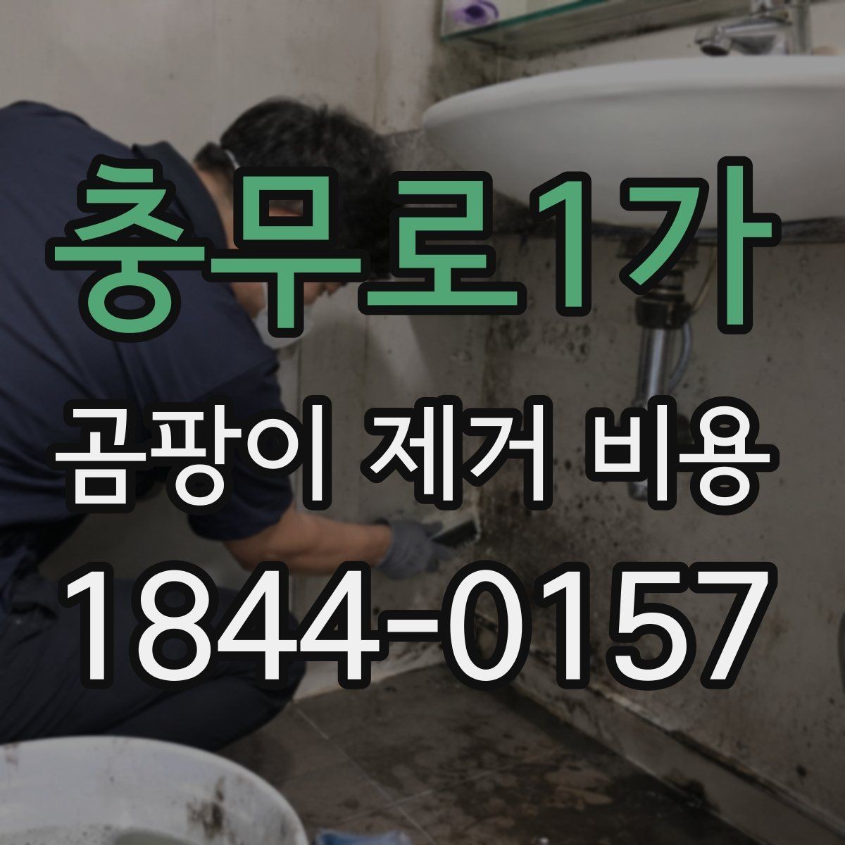 충무로1가 곰팡이 제거 비용 부분 시공이 가능한 오염 유형은