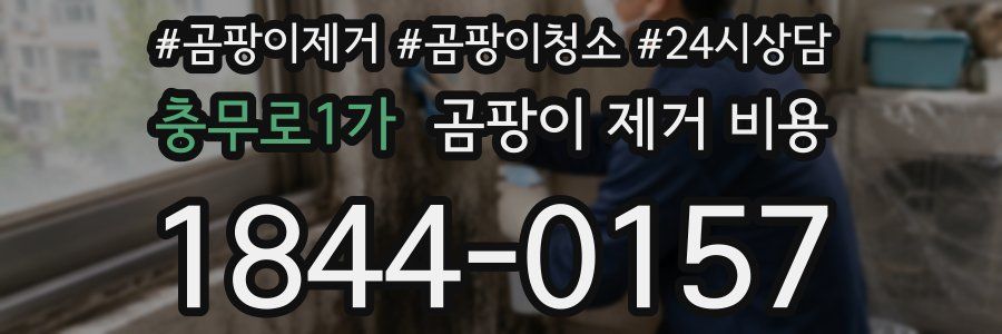충무로1가 곰팡이 제거 비용