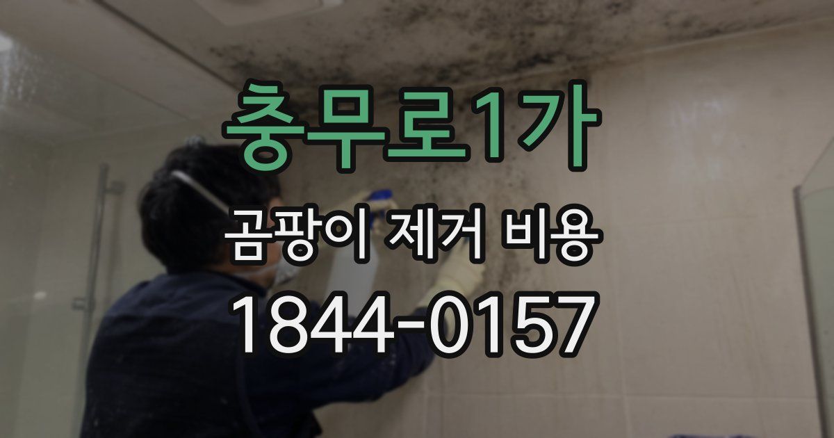 충무로1가 곰팡이 제거 비용
