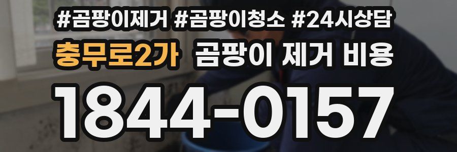 충무로2가 곰팡이 제거 비용
