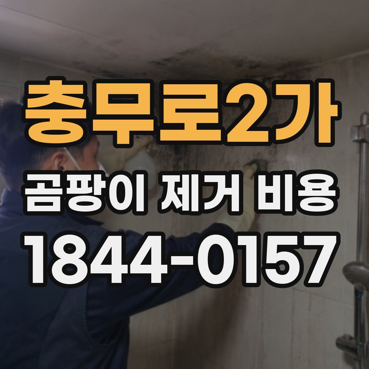 충무로2가 곰팡이 제거 비용