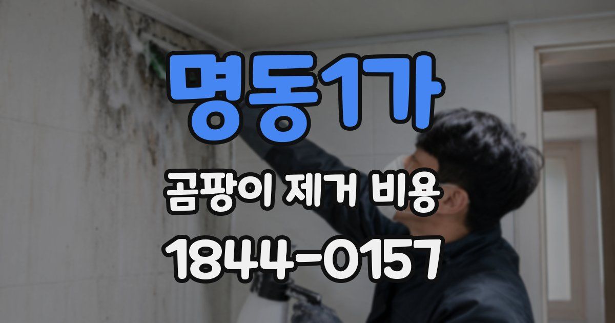 명동1가 곰팡이 제거 비용