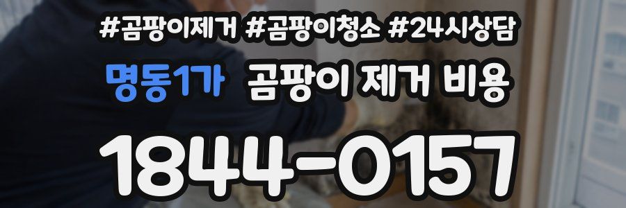 명동1가 곰팡이 제거 비용