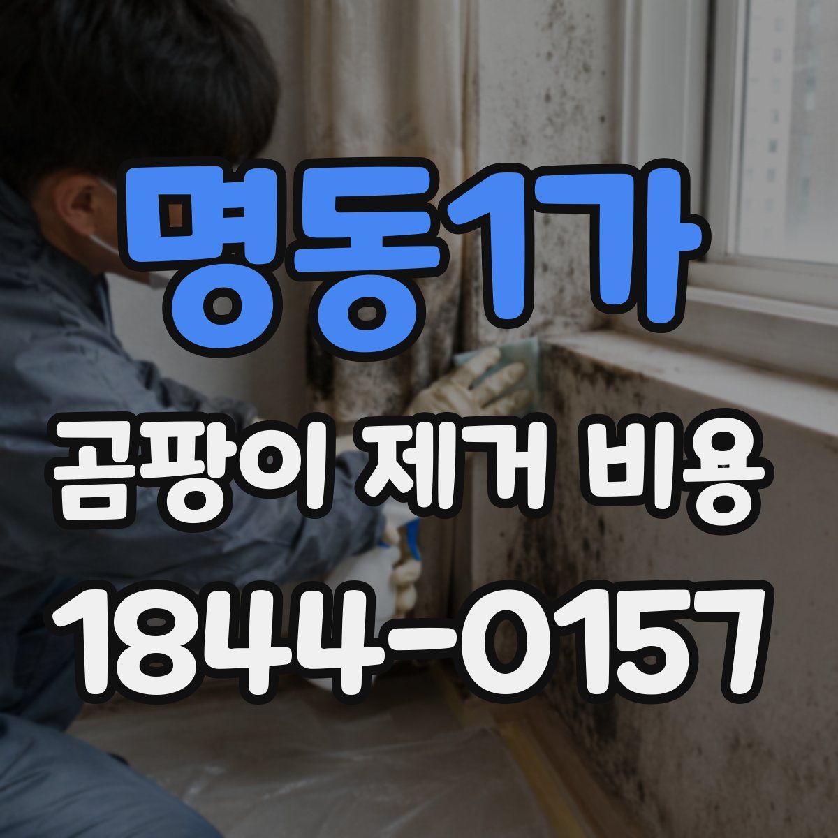 명동1가 곰팡이 제거 비용