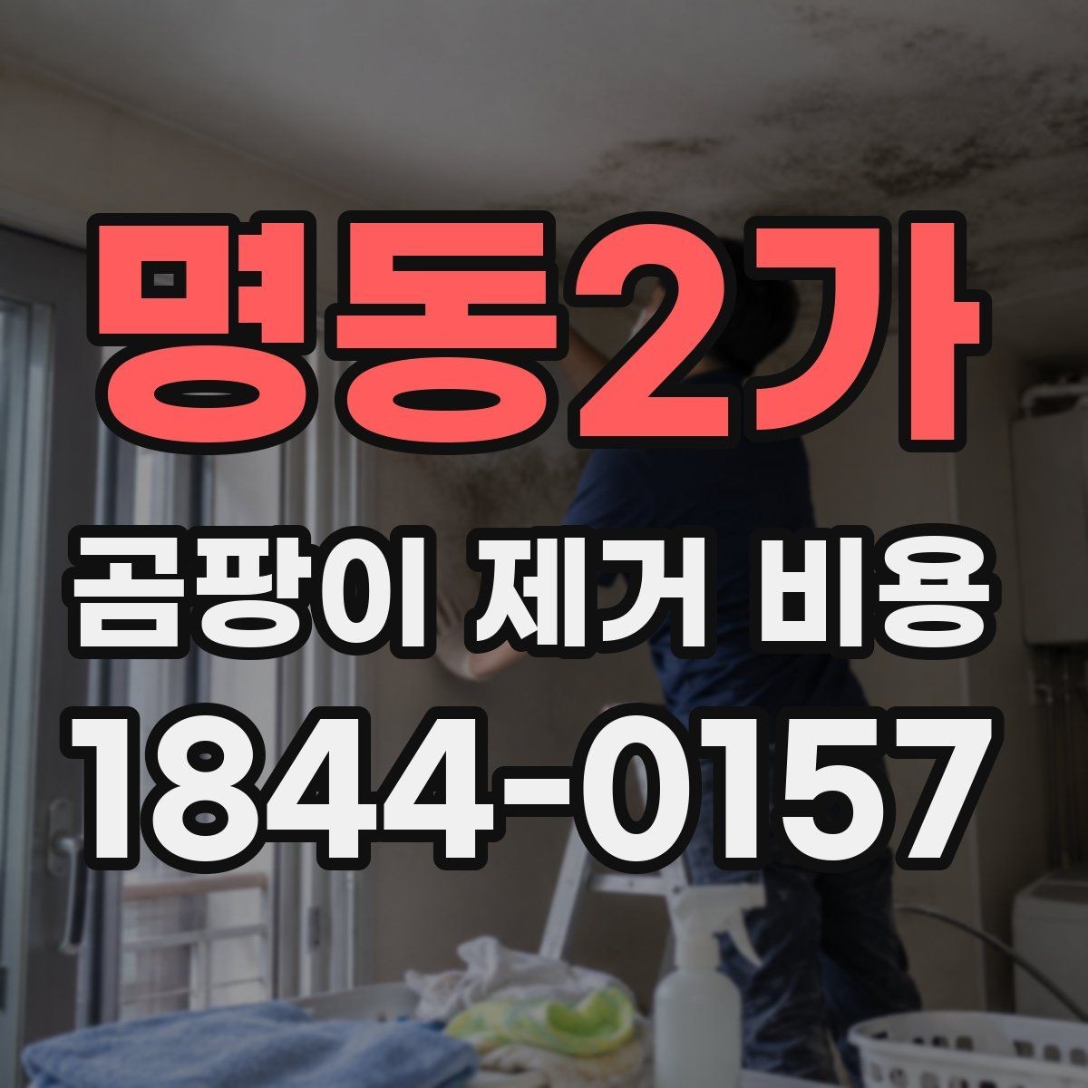 명동2가 곰팡이 제거 비용 냄새 제거까지 맡기면 달라지는 항목