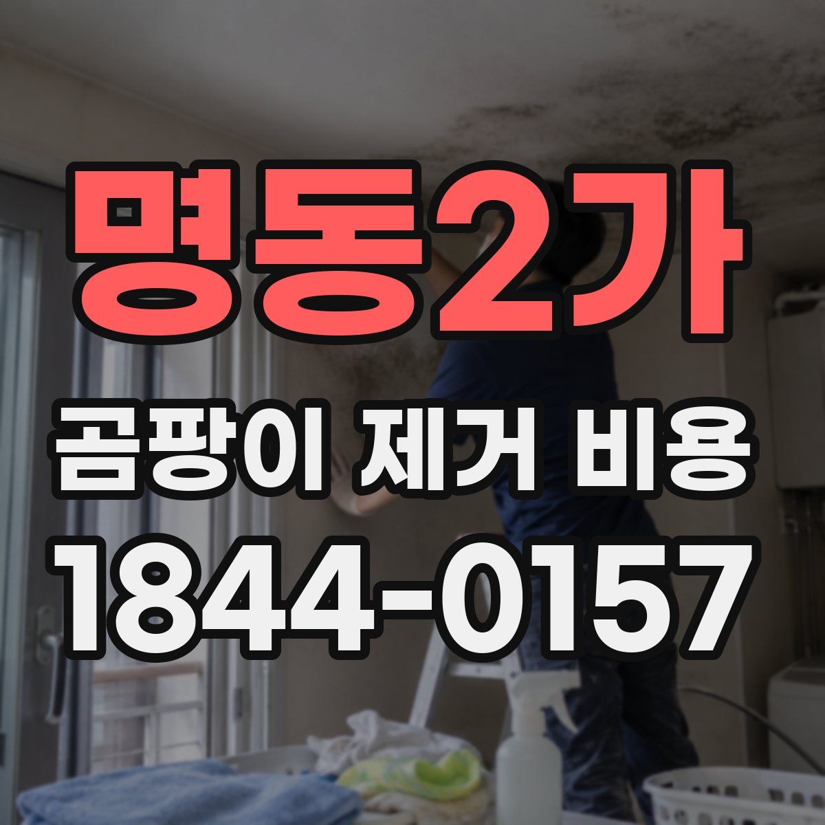 명동2가 곰팡이 제거 비용