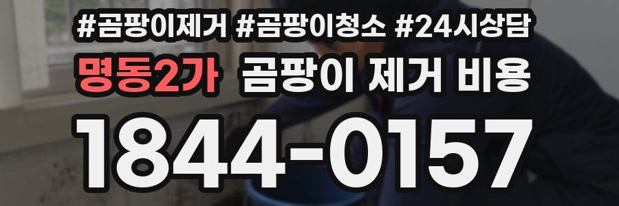 명동2가 곰팡이 제거 비용
