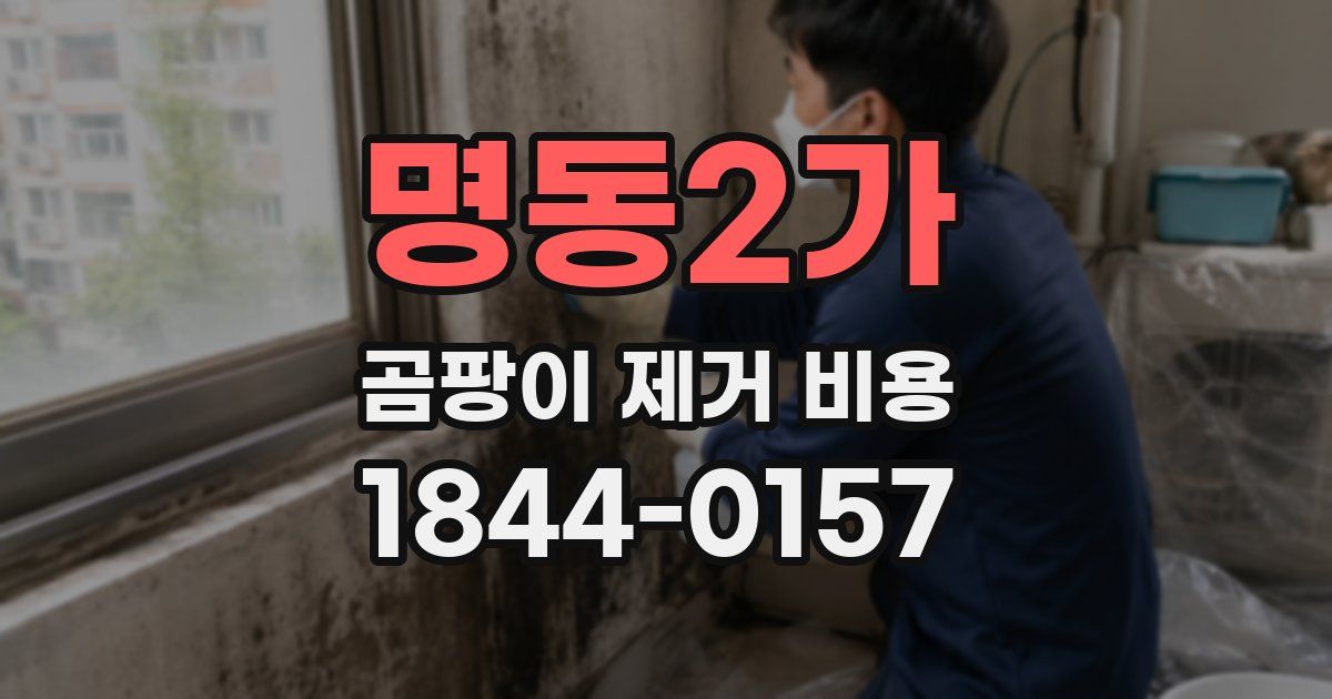 명동2가 곰팡이 제거 비용