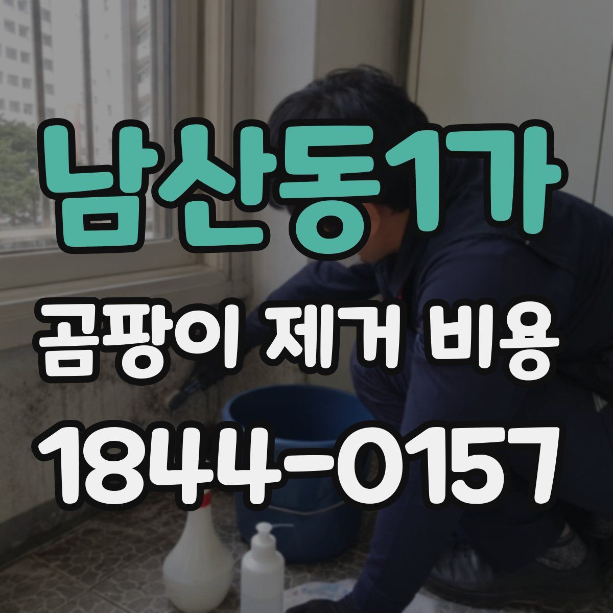남산동1가 곰팡이 제거 비용