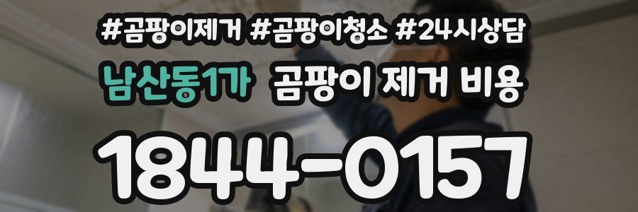 남산동1가 곰팡이 제거 비용