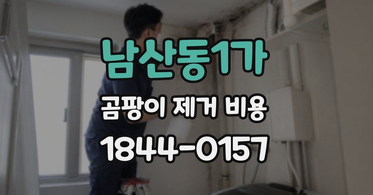 남산동1가 곰팡이 제거 비용