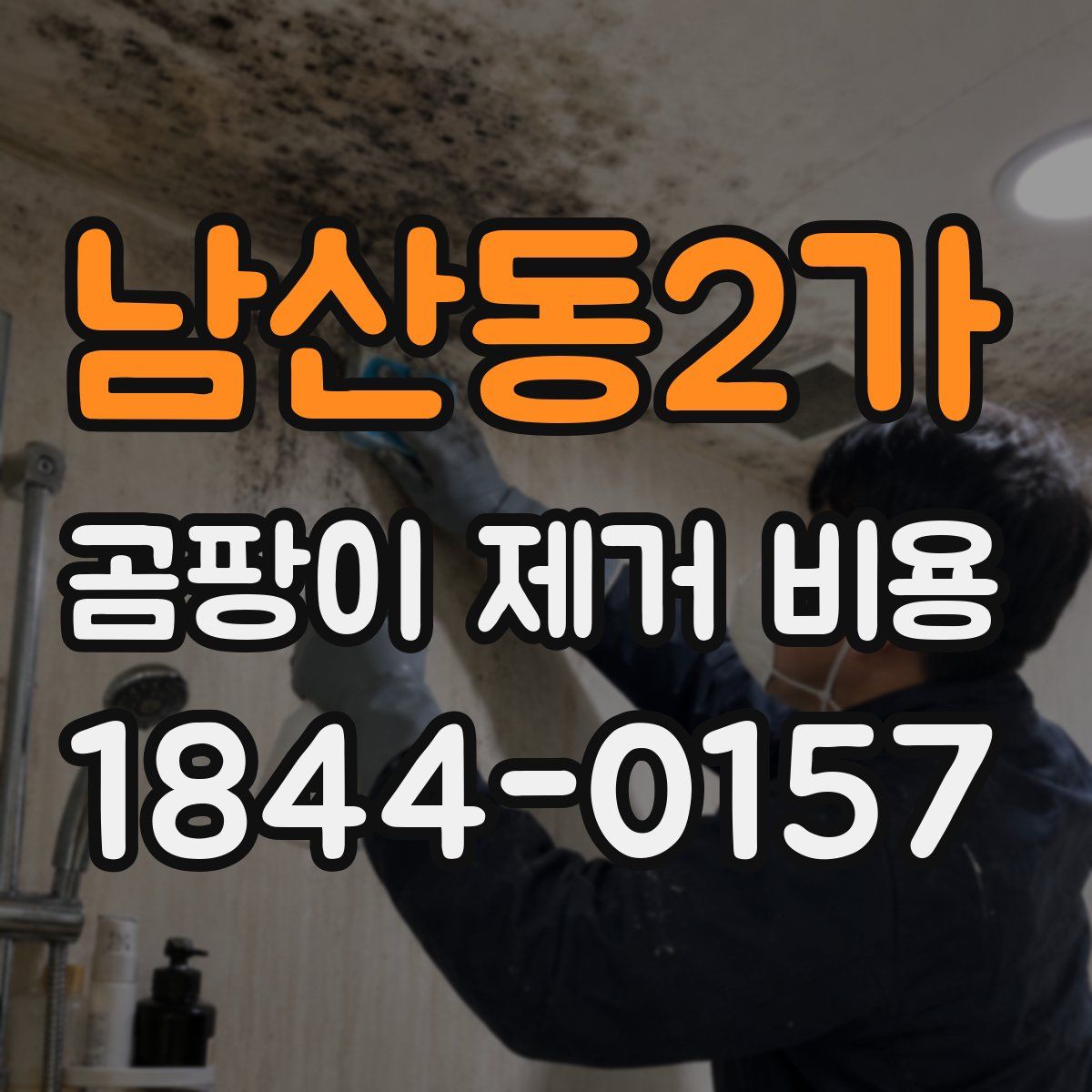 남산동2가 곰팡이 제거 비용