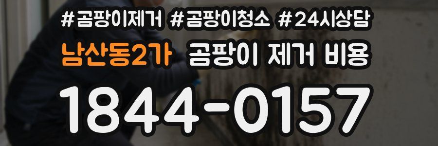 남산동2가 곰팡이 제거 비용