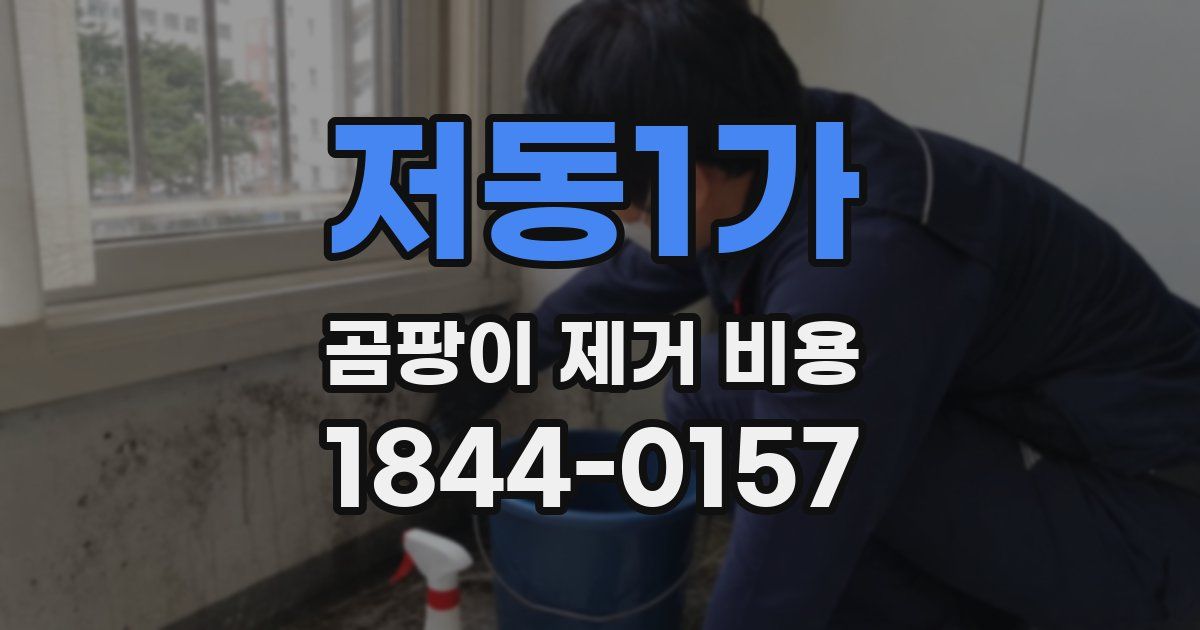 저동1가 곰팡이 제거 비용