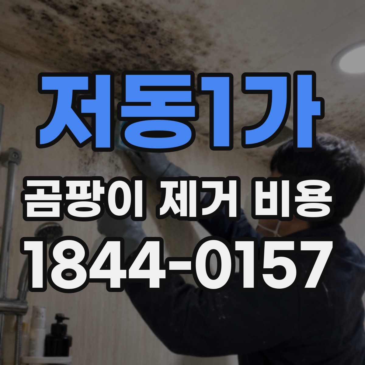 저동1가 곰팡이 제거 비용