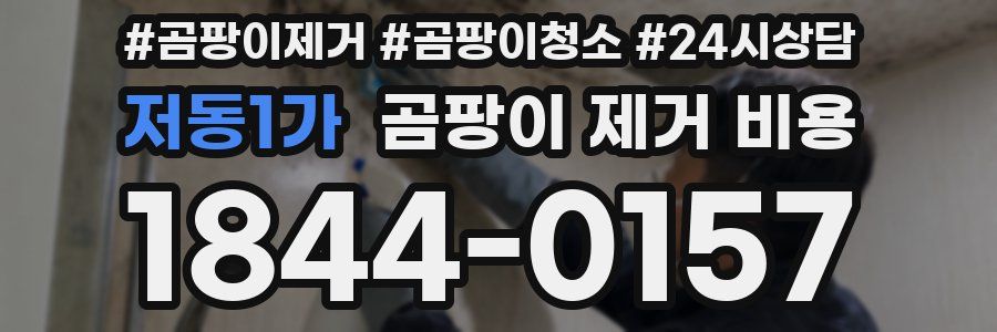 저동1가 곰팡이 제거 비용