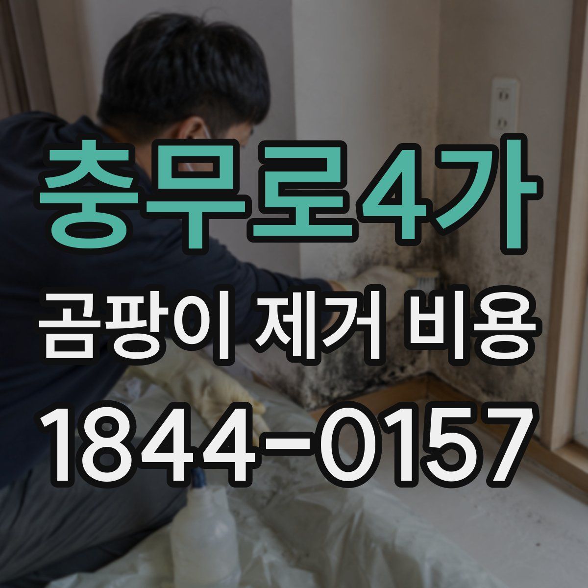 충무로4가 곰팡이 제거 비용