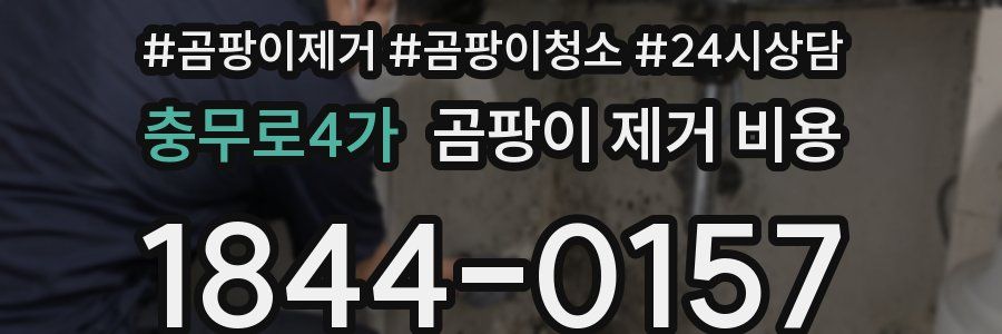 충무로4가 곰팡이 제거 비용