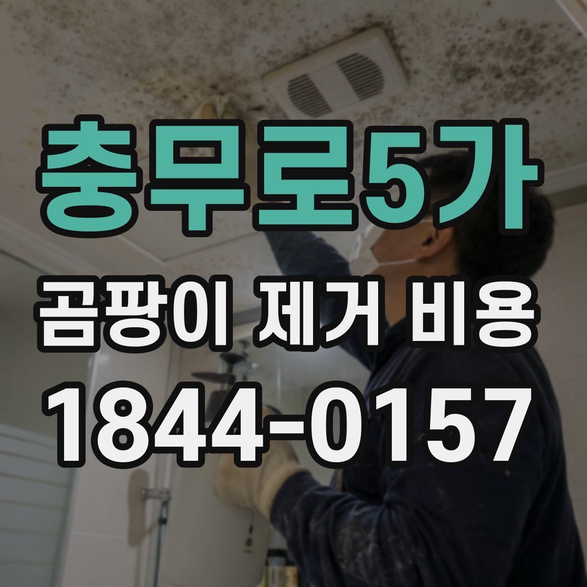 충무로5가 곰팡이 제거 비용
