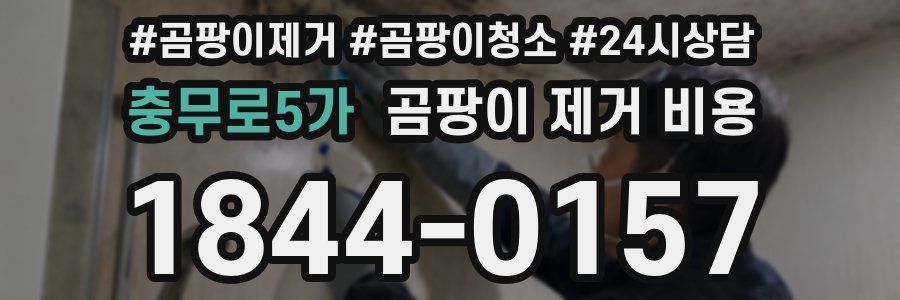 충무로5가 곰팡이 제거 비용