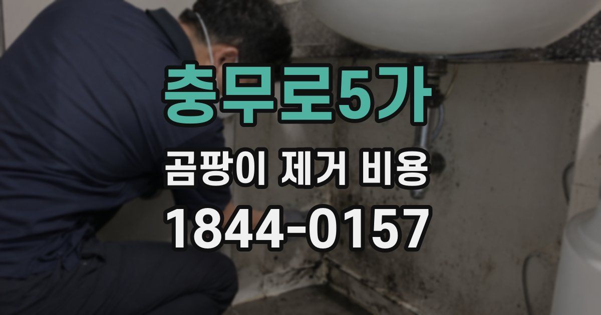 충무로5가 곰팡이 제거 비용