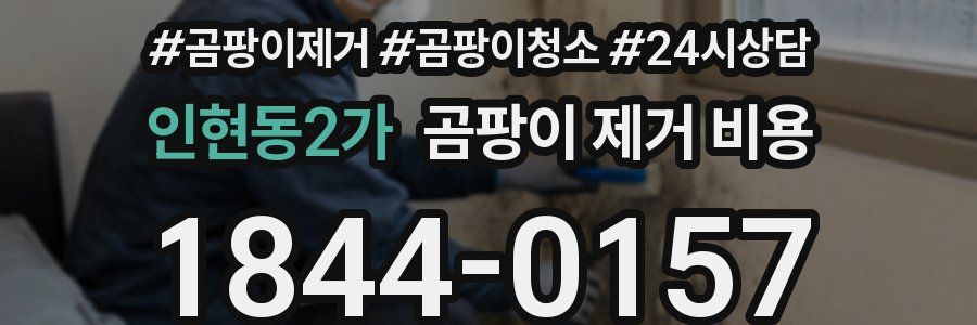 인현동2가 곰팡이 제거 비용