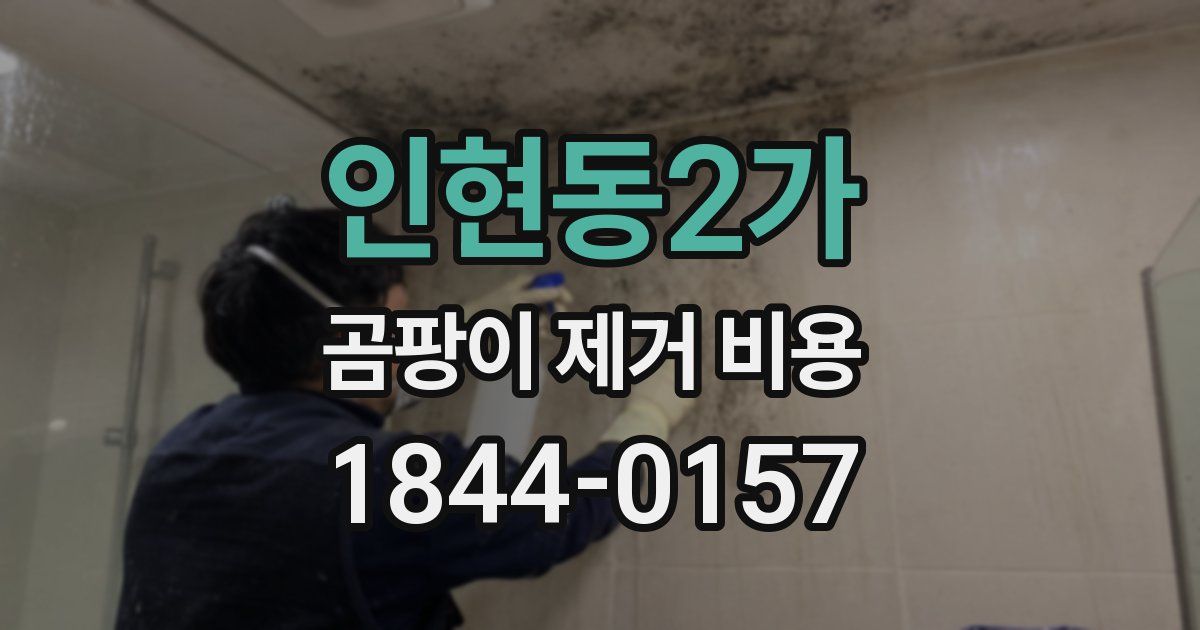 인현동2가 곰팡이 제거 비용