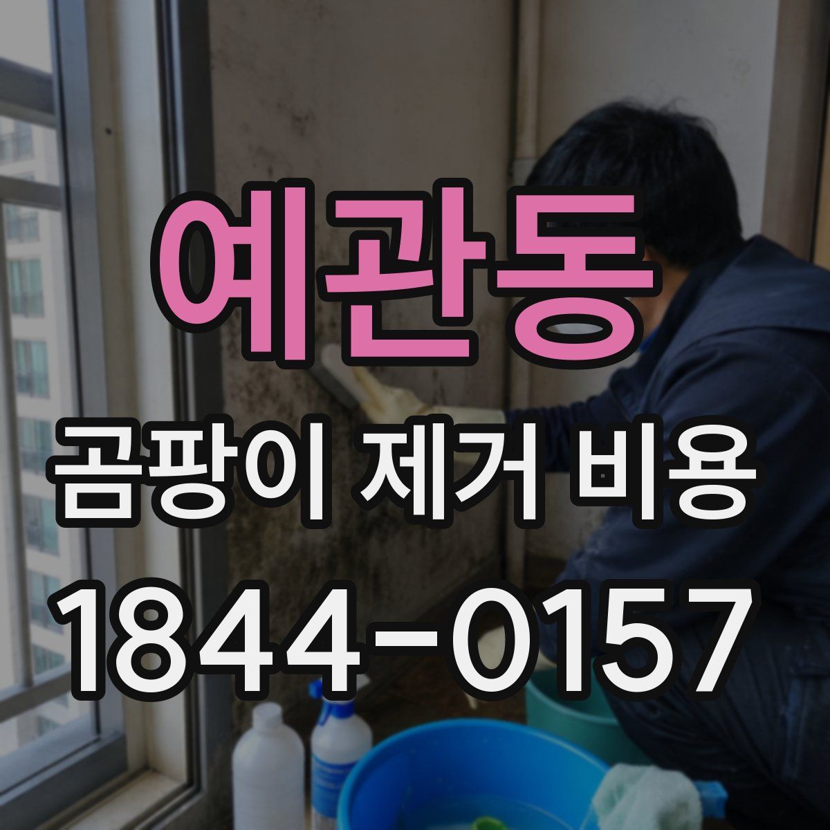 예관동 곰팡이 제거 비용