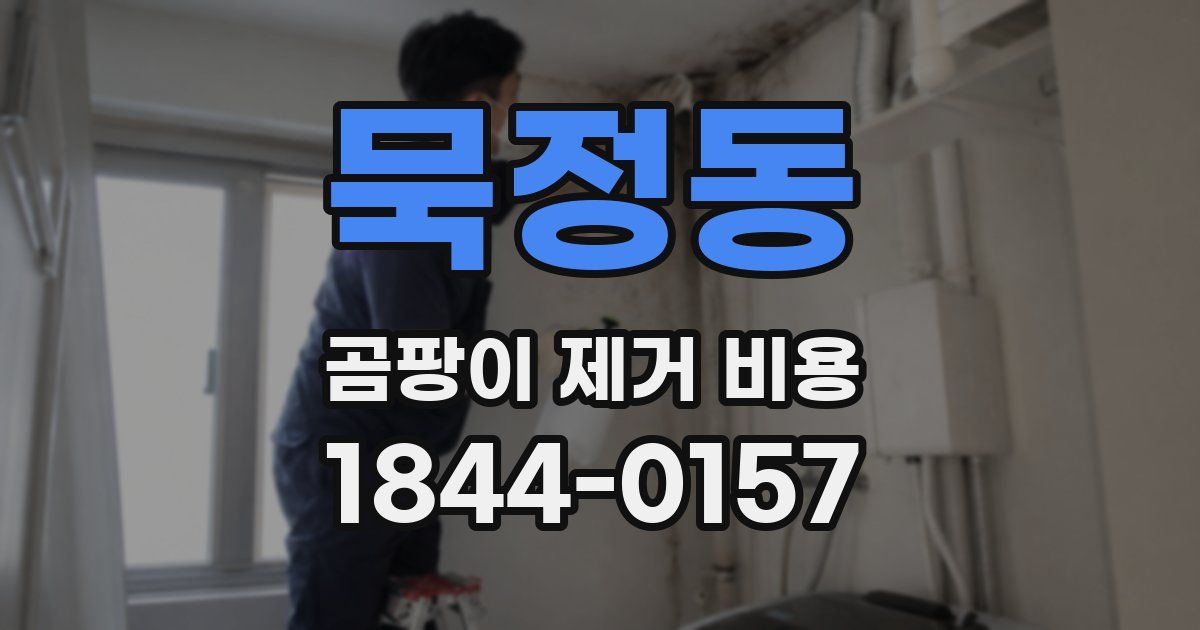 묵정동 곰팡이 제거 비용