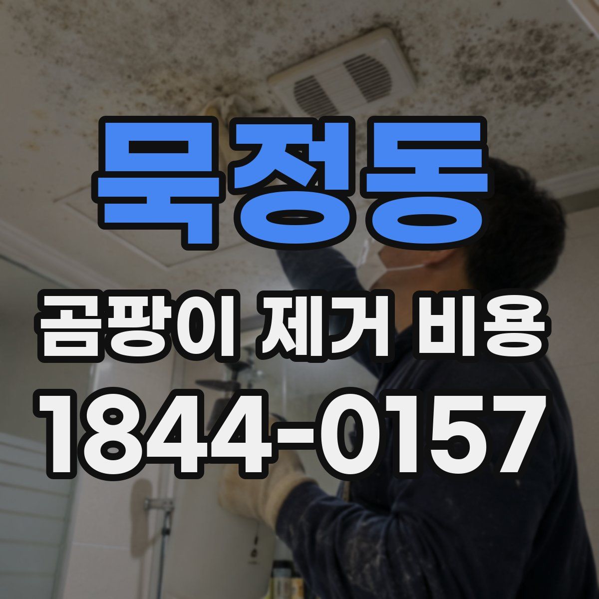 묵정동 곰팡이 제거 비용
