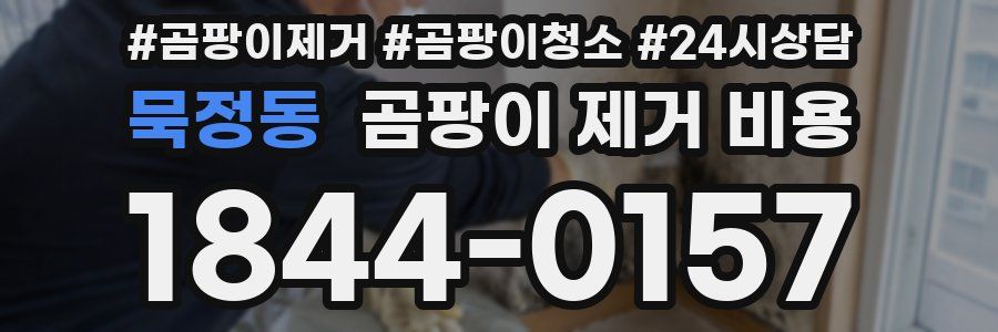 묵정동 곰팡이 제거 비용