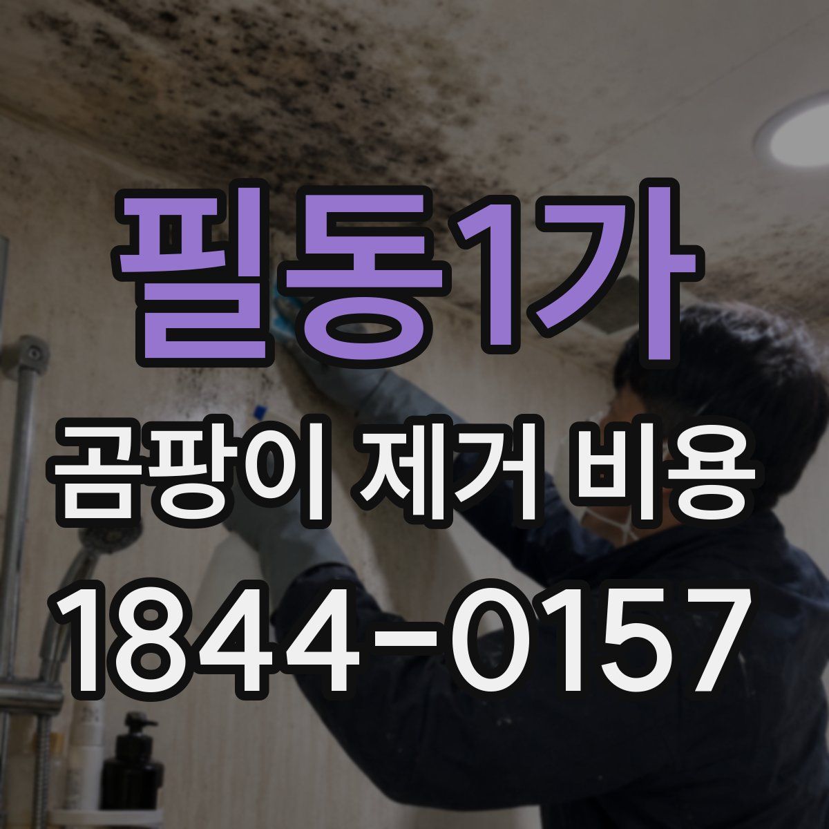 필동1가 곰팡이 제거 비용
