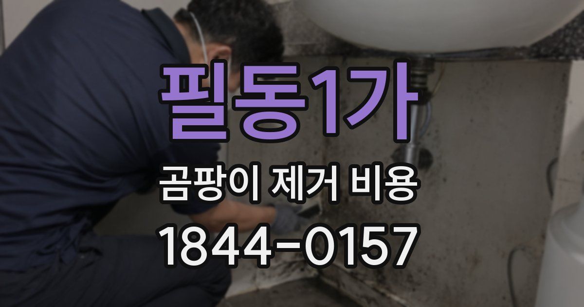필동1가 곰팡이 제거 비용