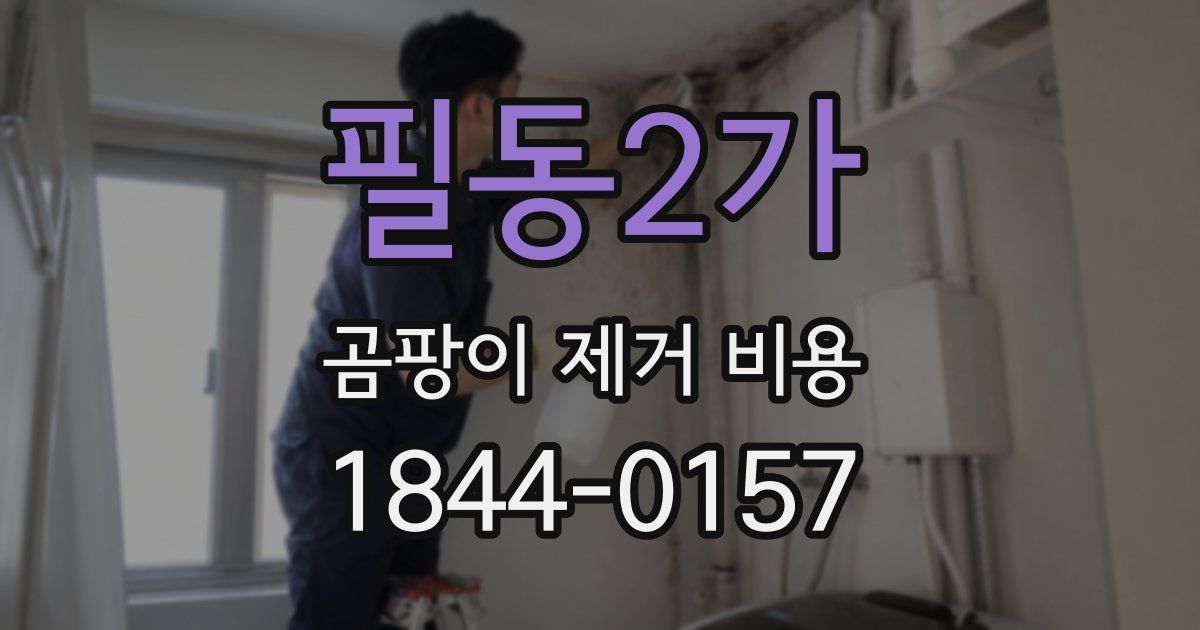 필동2가 곰팡이 제거 비용