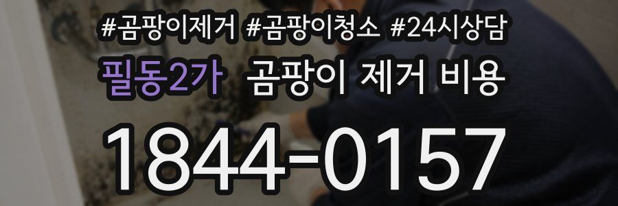 필동2가 곰팡이 제거 비용
