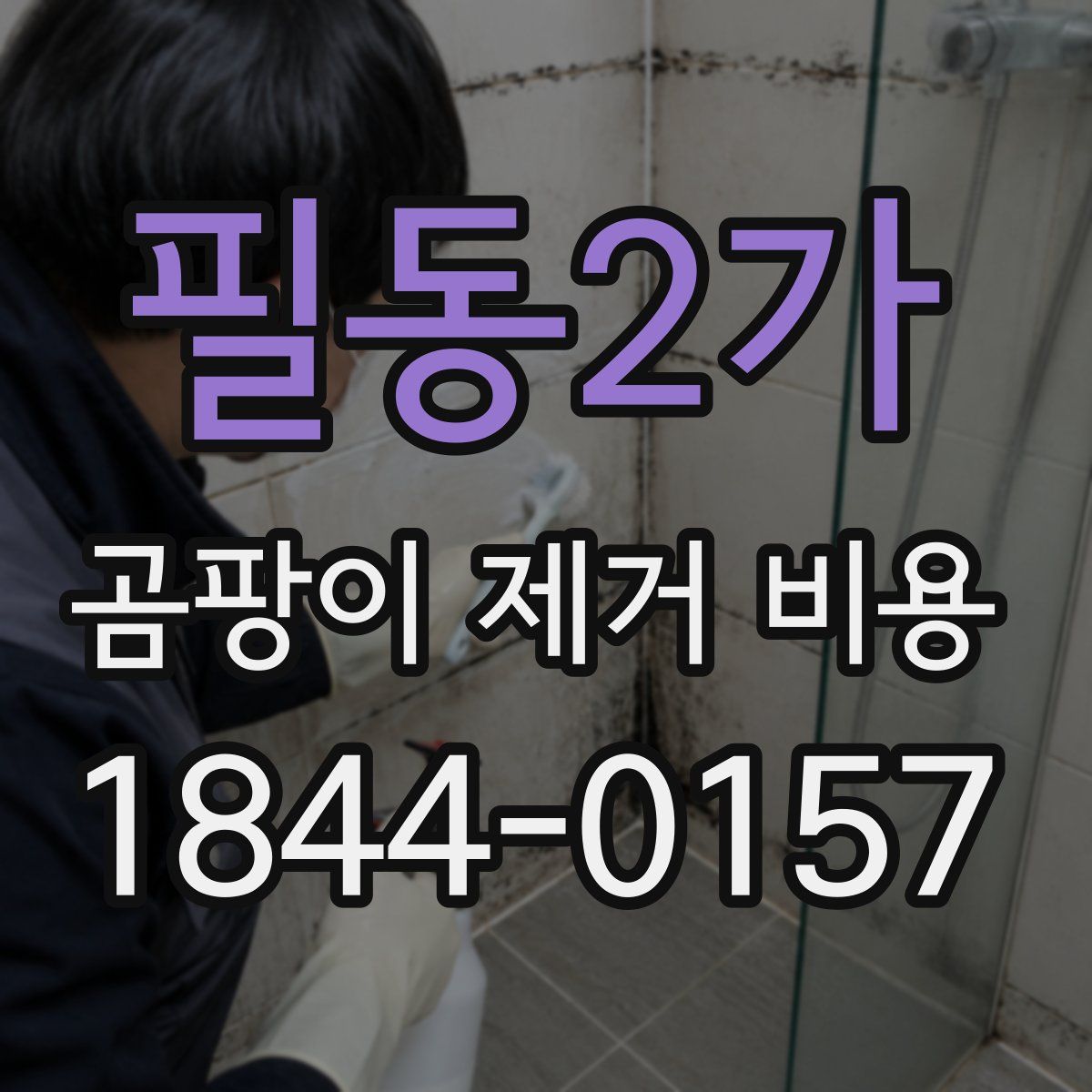필동2가 곰팡이 제거 비용