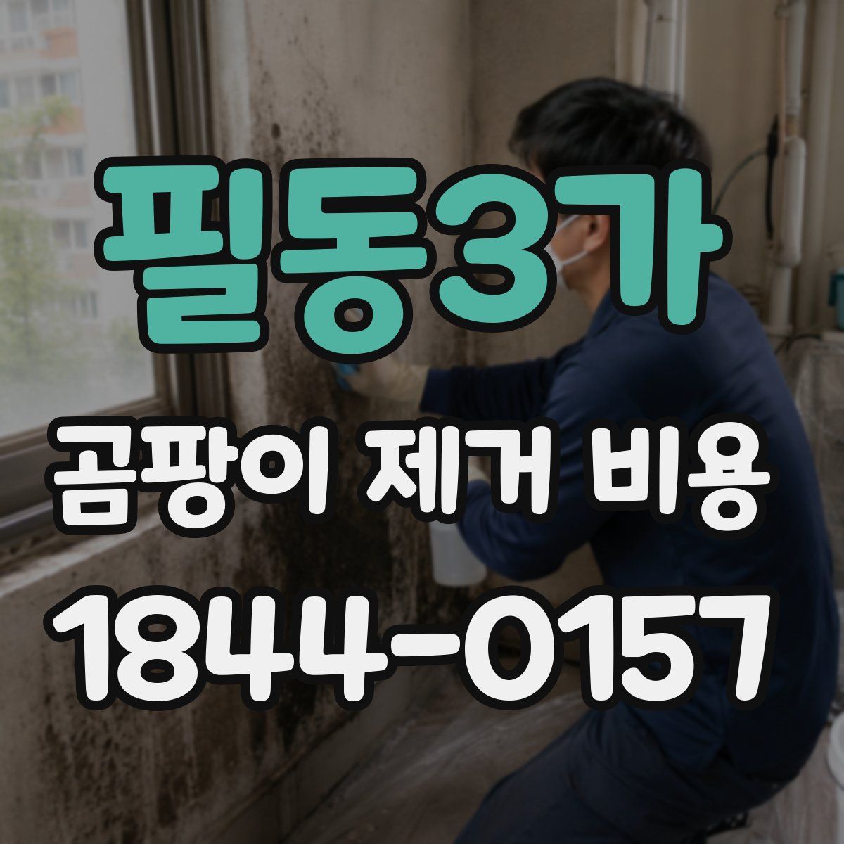필동3가 곰팡이 제거 비용