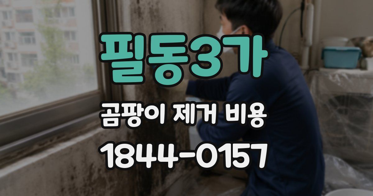 필동3가 곰팡이 제거 비용