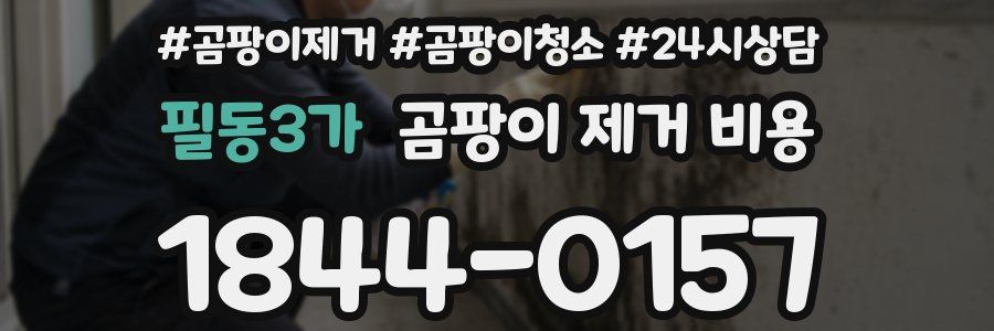 필동3가 곰팡이 제거 비용