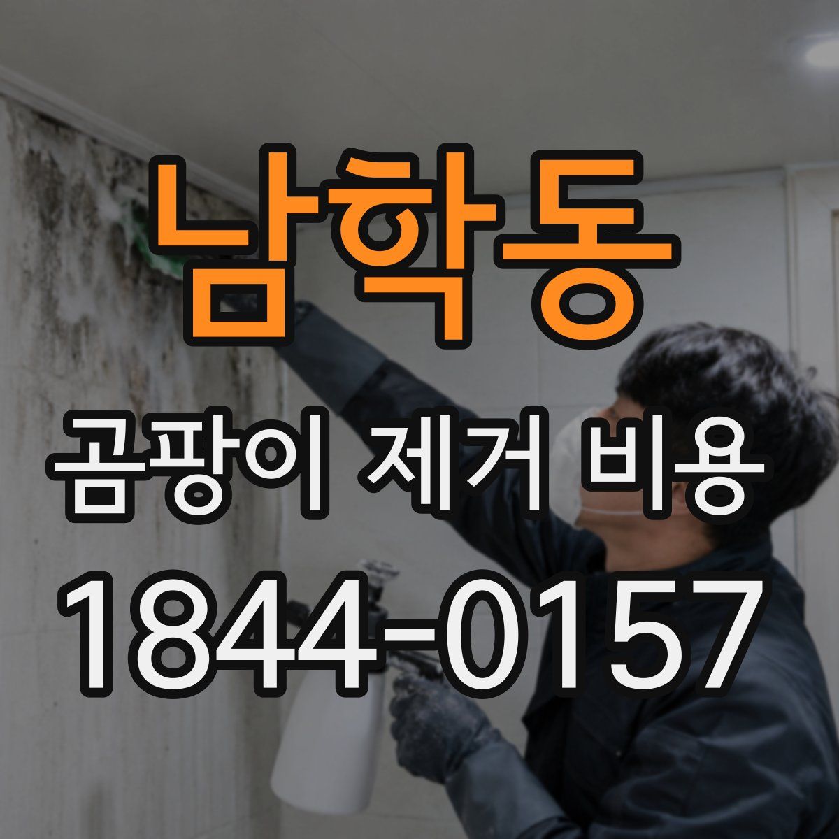 남학동 곰팡이 제거 비용