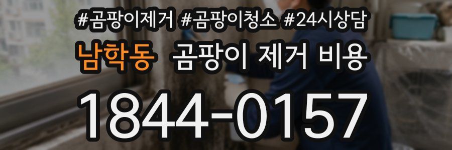 남학동 곰팡이 제거 비용