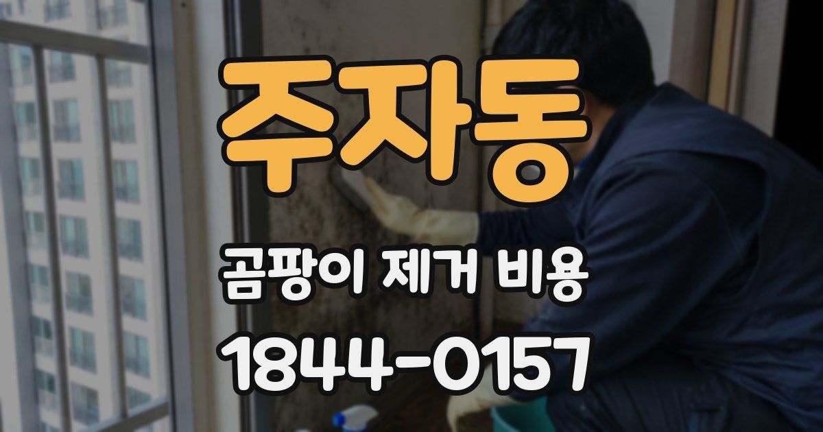 주자동 곰팡이 제거 비용