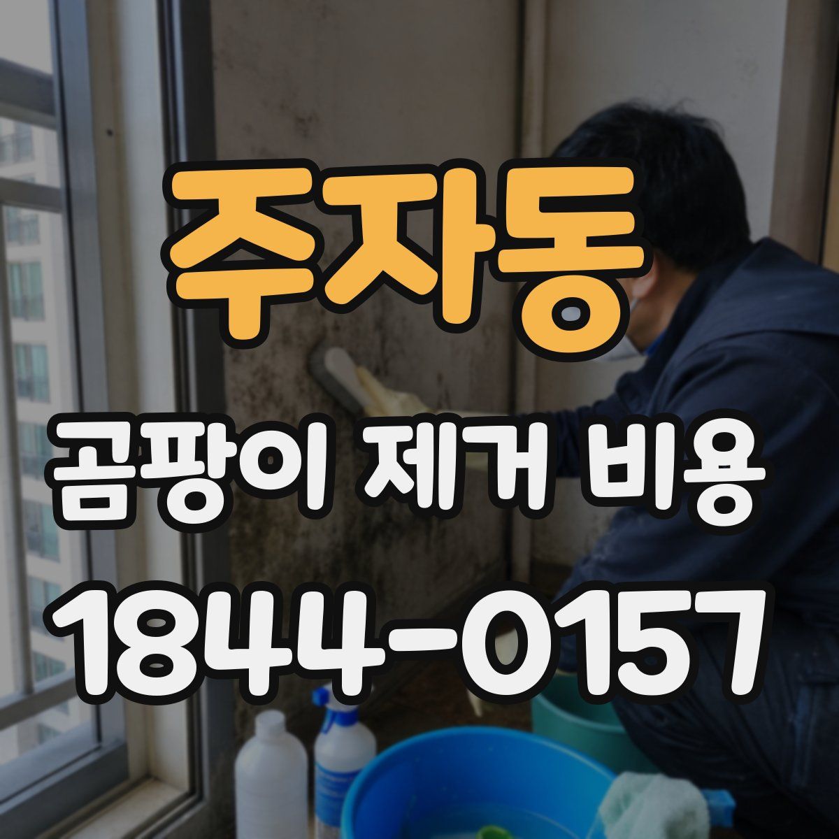 주자동 곰팡이 제거 비용