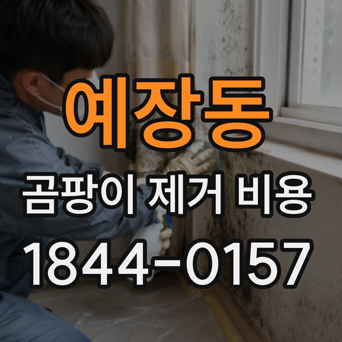 예장동 곰팡이 제거 비용 욕실과 베란다 처리 기준은 왜 다를까