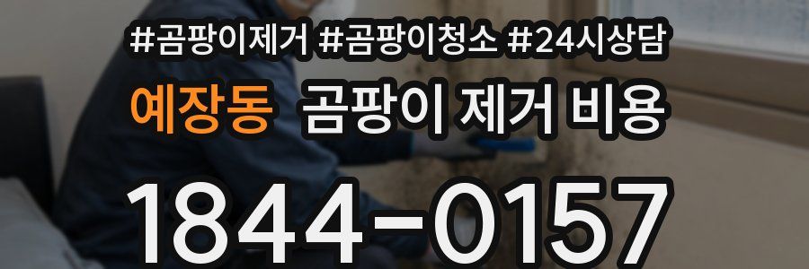 예장동 곰팡이 제거 비용