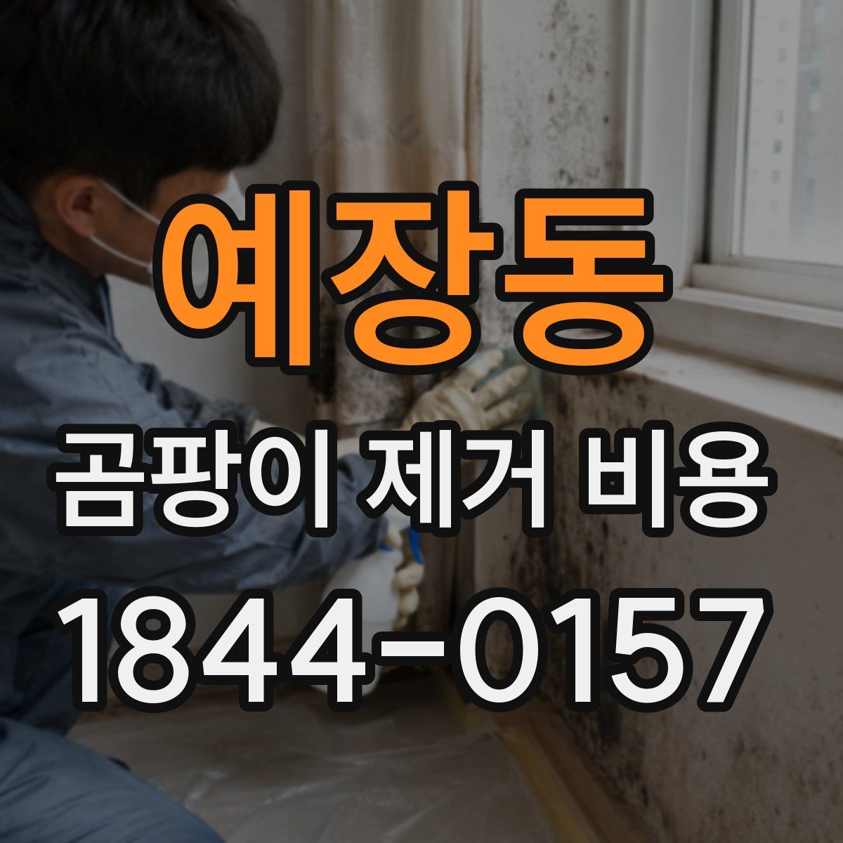 예장동 곰팡이 제거 비용