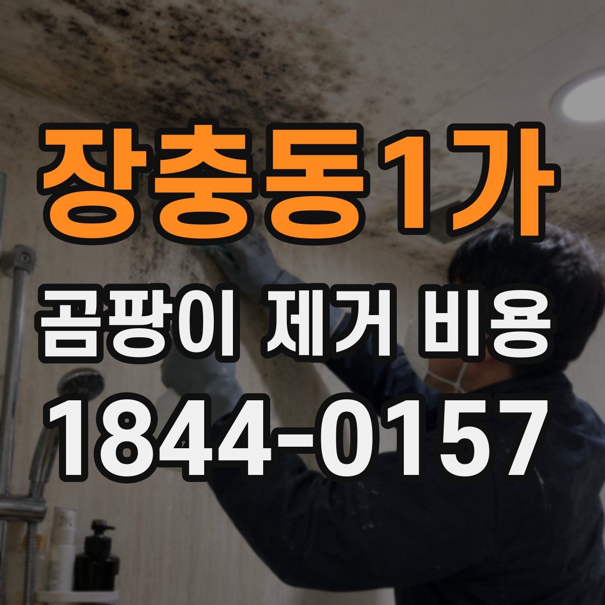 장충동1가 곰팡이 제거 비용