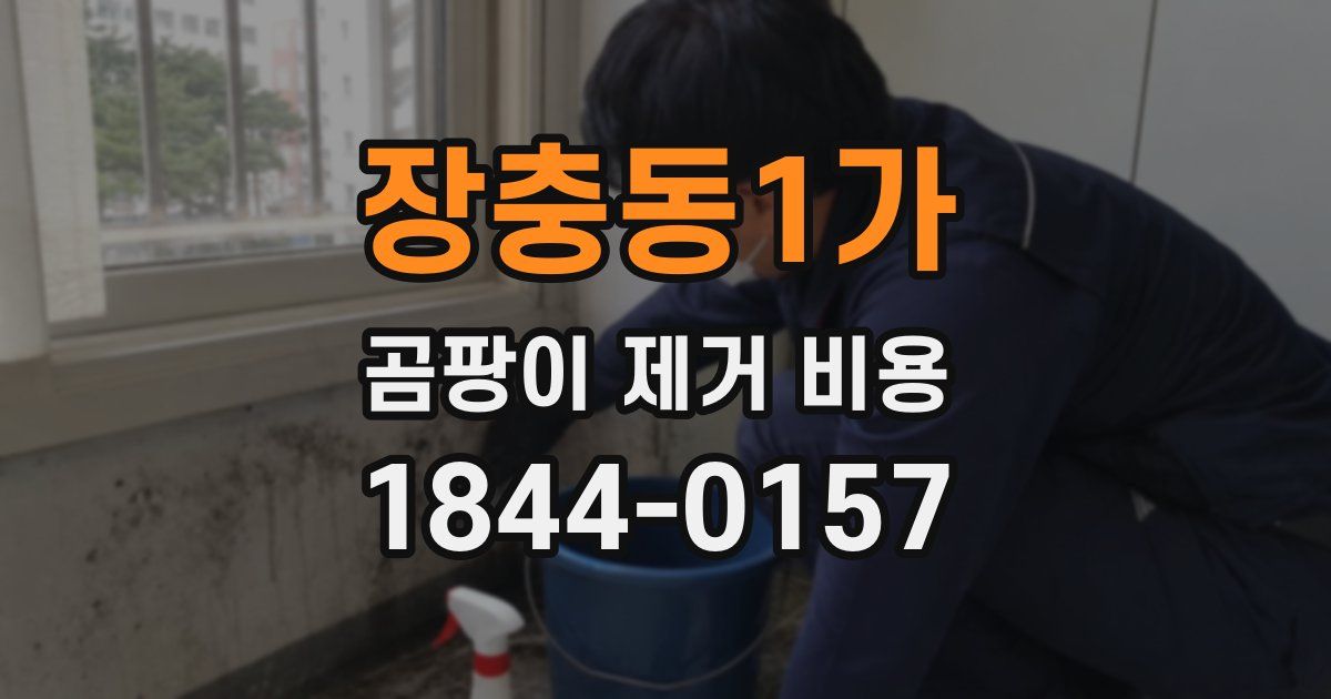 장충동1가 곰팡이 제거 비용