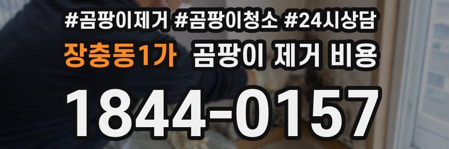 장충동1가 곰팡이 제거 비용