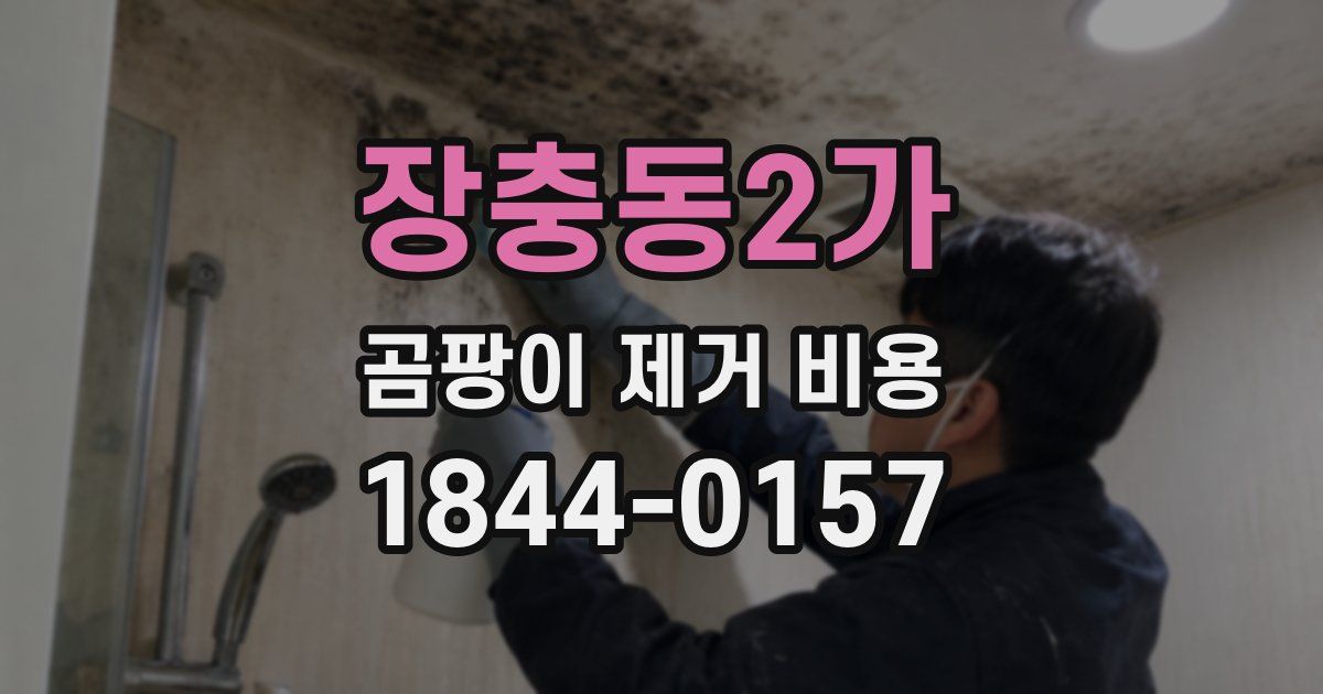 장충동2가 곰팡이 제거 비용